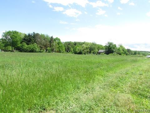4446 Eckhardt Rd, Eden, NY 14057 photo 25