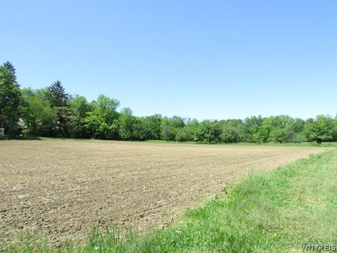 4446 Eckhardt Rd, Eden, NY 14057 photo 23