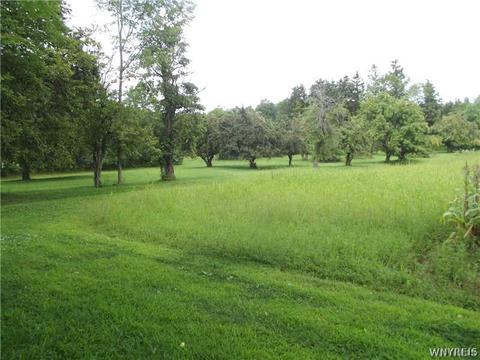 4446 Eckhardt Rd, Eden, NY 14057 photo 21