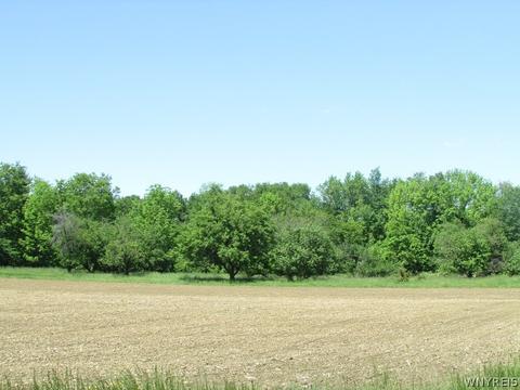 4446 Eckhardt Rd, Eden, NY 14057 photo 22