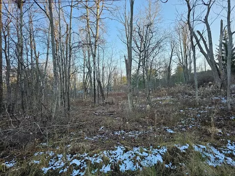 0 Watertower Rd, Ithaca-town, NY 14850 photo 3