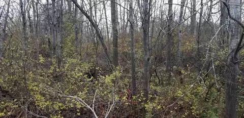 0 Watertower Rd, Ithaca-town, NY 14850 photo 5