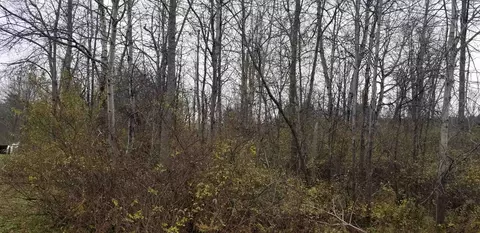 0 Watertower Rd, Ithaca-town, NY 14850 photo 6