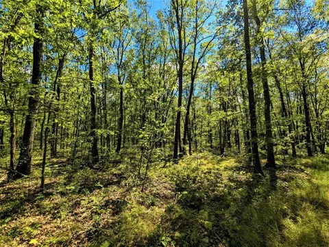 00 Vanetten Rd, Corning, NY 14830 photo 24