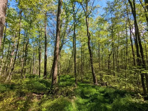 00 Vanetten Rd, Corning, NY 14830 photo 17