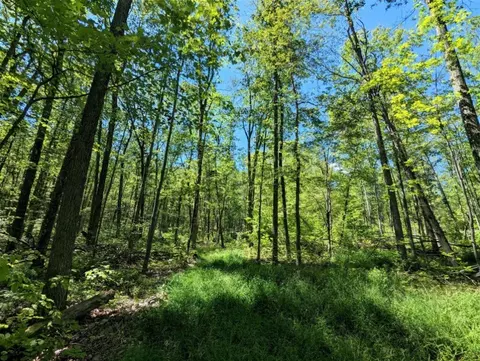 00 Vanetten Rd, Corning, NY 14830 photo 10