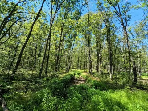 00 Vanetten Rd, Corning, NY 14830 photo 25
