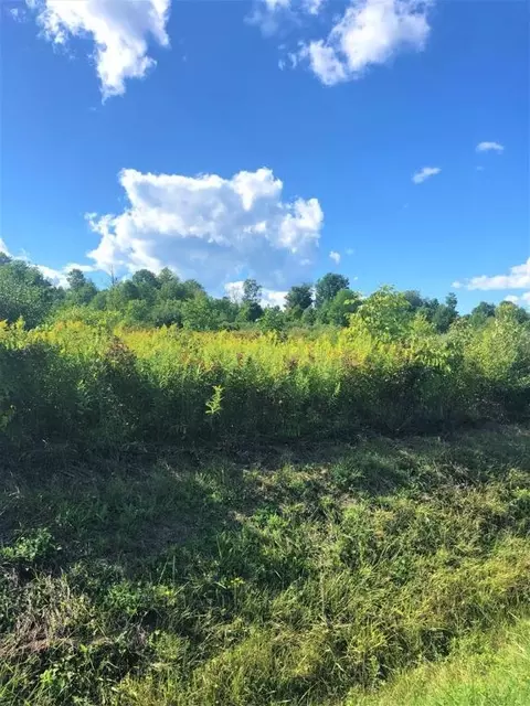 0 Demunn Rd #LOT 3, Dix, NY 14812