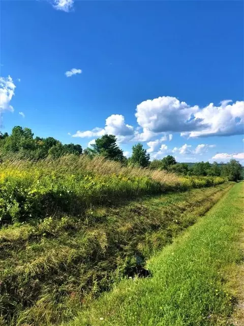 0 Demunn Rd #LOT 4, Dix, NY 14812