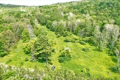 00 Wolf Run Rd, Bath, NY 14821 photo 2