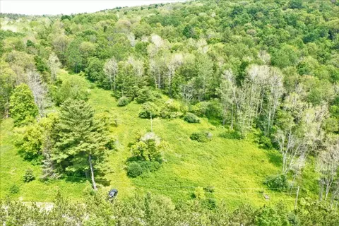 00 Wolf Run Rd, Bath, NY 14821 photo 32