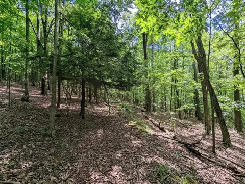 00 Wolf Run Rd, Bath, NY 14821 photo 16