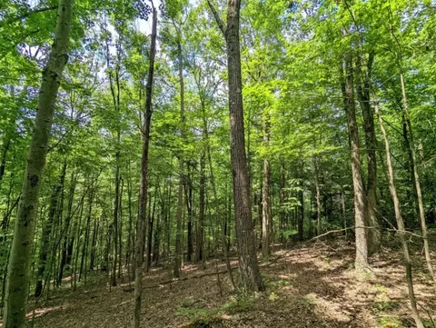 00 Wolf Run Rd, Bath, NY 14821 photo 15