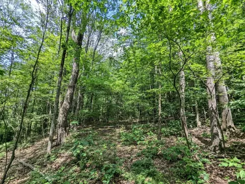00 Wolf Run Rd, Bath, NY 14821 photo 21
