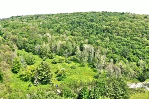 00 Wolf Run Rd, Bath, NY 14821 photo 9