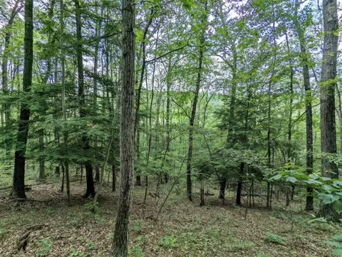 00 Wolf Run Rd, Bath, NY 14821 photo 19