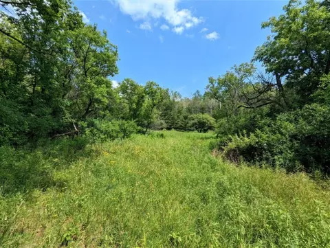 00 Wolf Run Rd, Bath, NY 14821 photo 4
