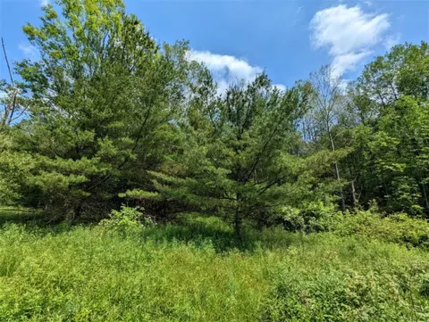 00 Wolf Run Rd, Bath, NY 14821 photo 8