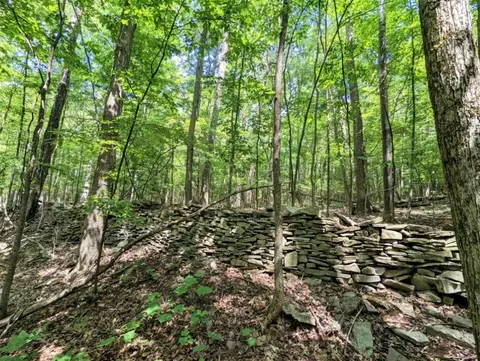 00 Wolf Run Rd, Bath, NY 14821 photo 13