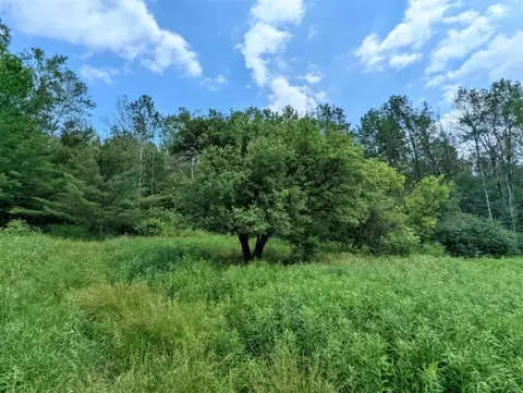00 Wolf Run Rd, Bath, NY 14821 photo 6