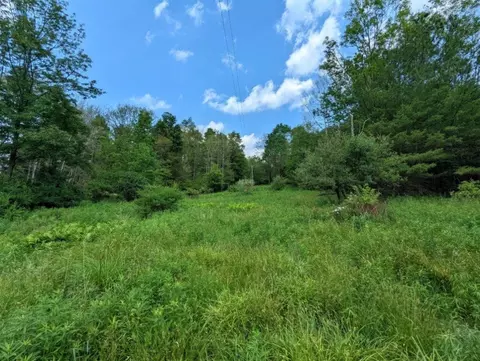 00 Wolf Run Rd, Bath, NY 14821 photo 7