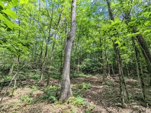 00 Wolf Run Rd, Bath, NY 14821 photo 17