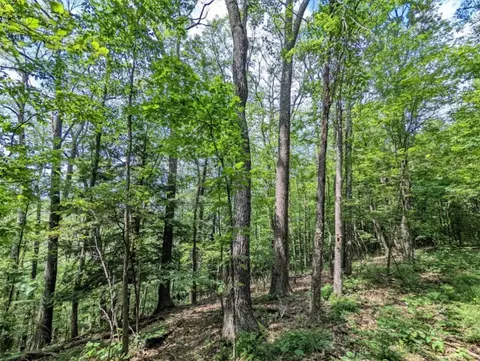 00 Wolf Run Rd, Bath, NY 14821 photo 20