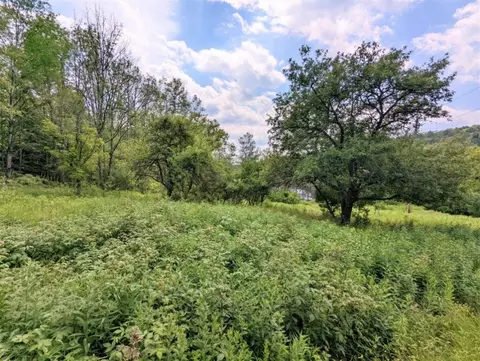00 Wolf Run Rd, Bath, NY 14821 photo 10