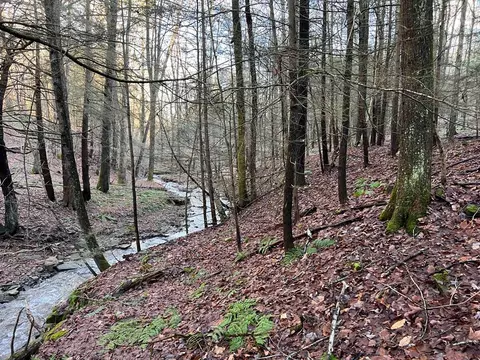 0 Campbell Hill Rd, Owego, NY 13827