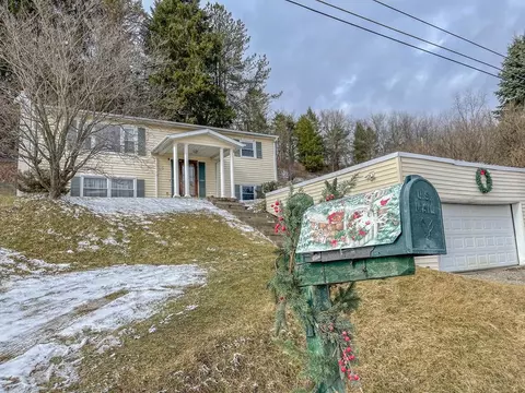 287 E Sullivanville Rd, Veteran, NY 14845