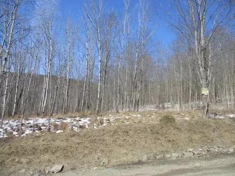 5239-41 Mcnutt Run Rd Aka County Rte 17, Campbell, NY 14821