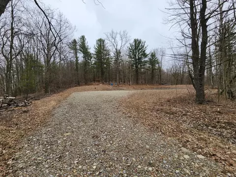 0 Brown Rd, Ashland, NY 14894