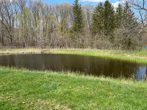 lot A County Road 28, Reading, NY 14891