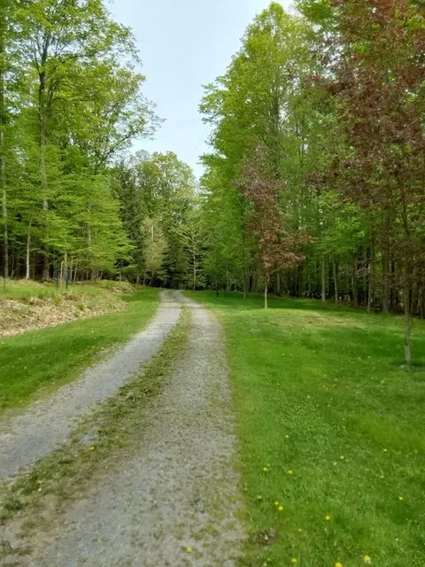 4652 County Rt 14, Howard, NY 14810 photo 18