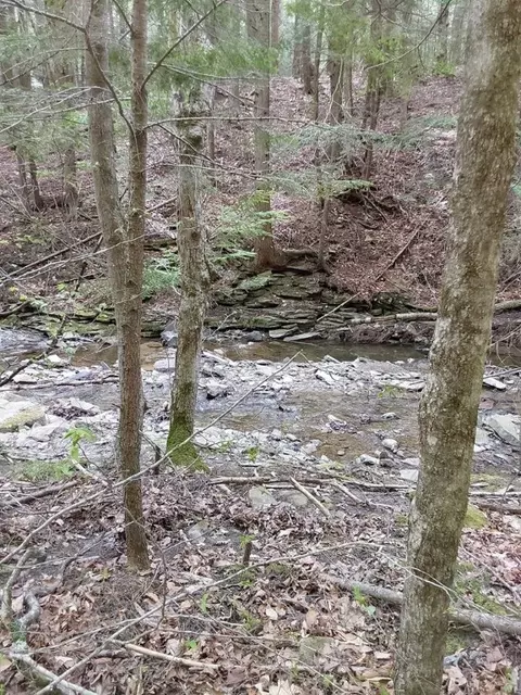 4652 County Rt 14, Howard, NY 14810 photo 13
