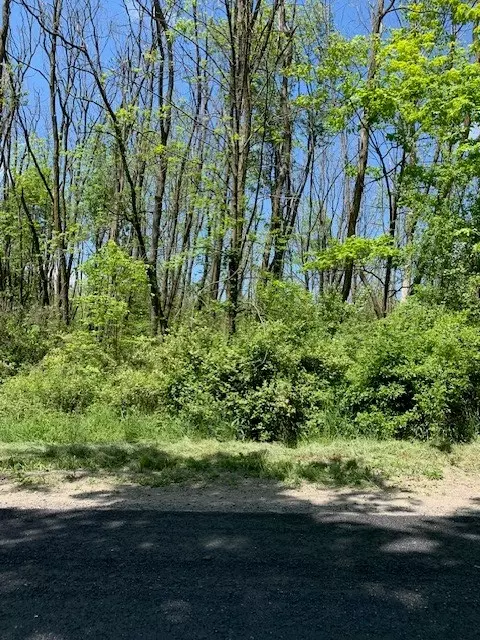 0 Covert Rd, Hector, NY 14818 photo 4