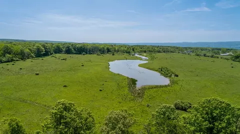 0 Dugue Rd, Hector, NY 14841 photo 15