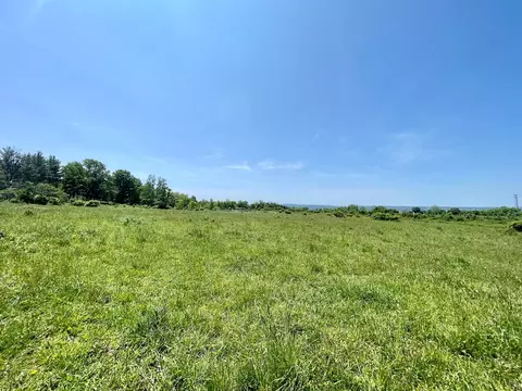 0 Dugue Rd, Hector, NY 14841 photo 9