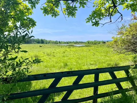 0 Dugue Rd, Hector, NY 14841 photo 8
