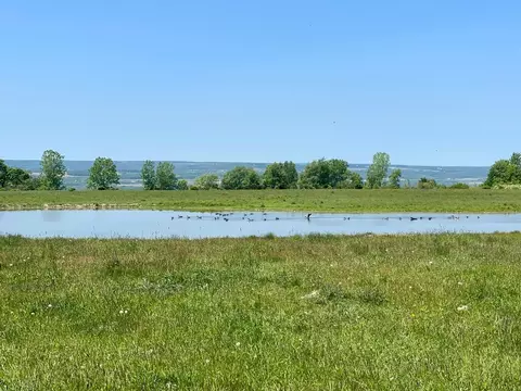 0 Dugue Rd, Hector, NY 14841 photo 28