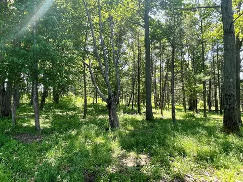 0 Dugue Rd, Hector, NY 14841 photo 20