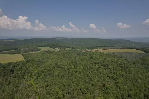 00 Rice Rd, Cayuta, NY photo 5