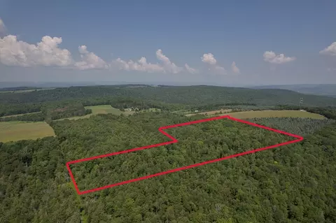 00 Rice Rd, Cayuta, NY photo 6