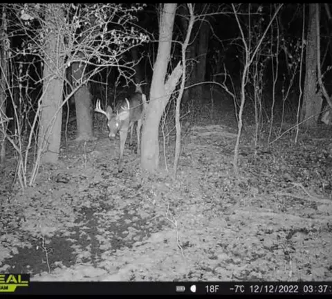 00 Rice Rd, Cayuta, NY photo 12