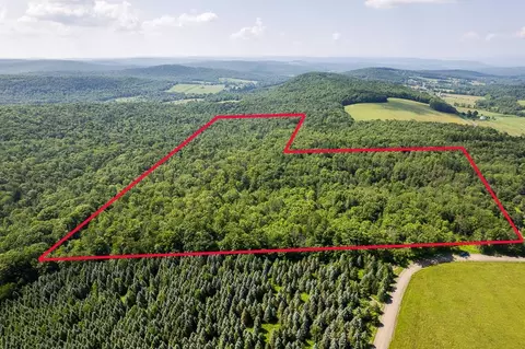 00 Rice Rd, Cayuta, NY