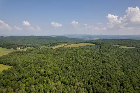 00 Rice Rd, Cayuta, NY photo 7