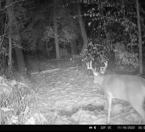 00 Rice Rd, Cayuta, NY photo 13