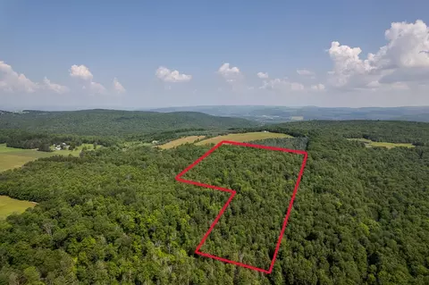00 Rice Rd, Cayuta, NY photo 8