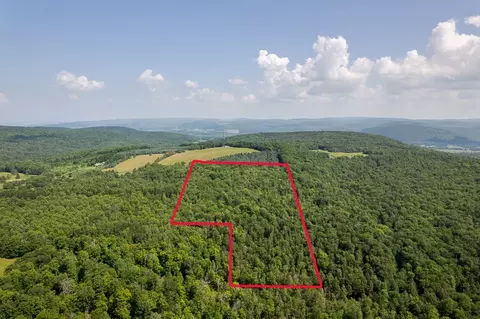 00 Rice Rd, Cayuta, NY photo 10