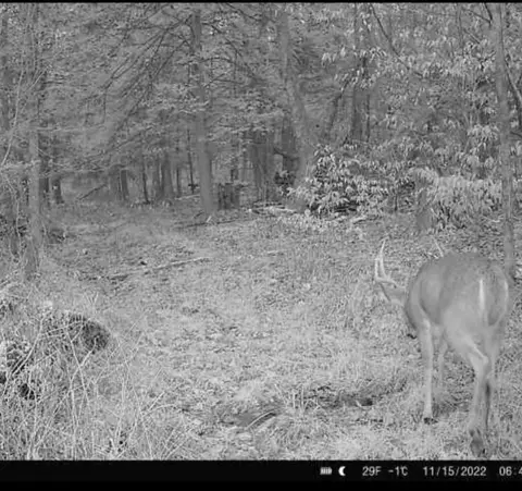 00 Rice Rd, Cayuta, NY photo 14
